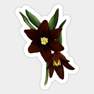 Chocolate Lily Flowers Digital Art Sticker